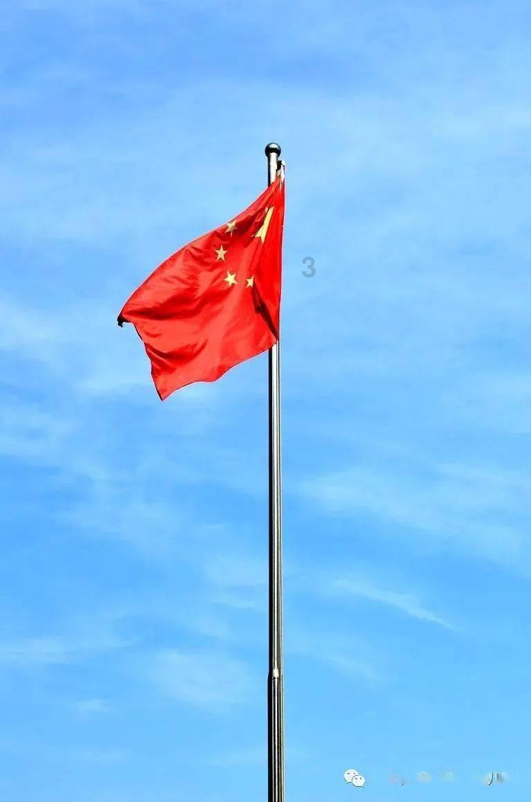杭州是美食沙漠?这群小学生不服出战,顺便完成期末测评