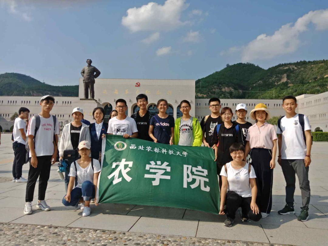 组图 | 启程回家!记者直击合肥2024春运首日